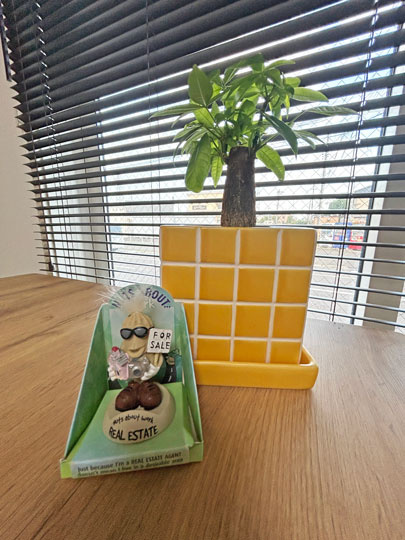 藤野 司の画像3