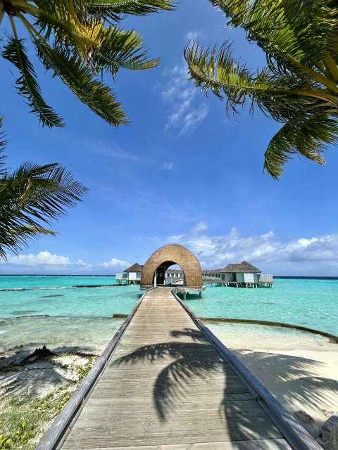 香川 七子の画像2