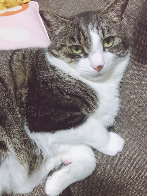 香川 フク子の画像3