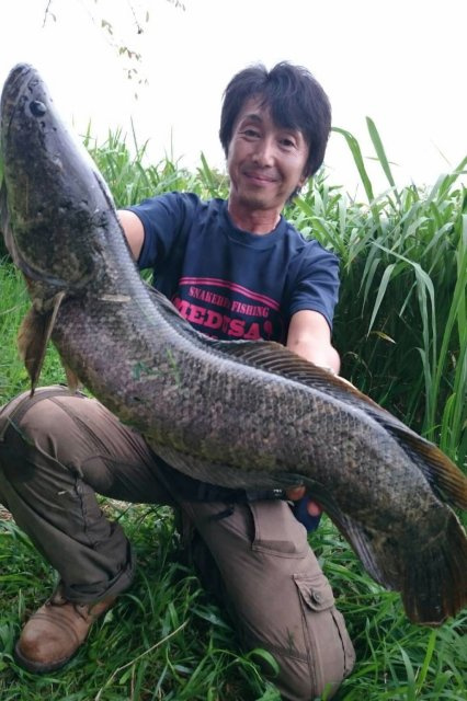 佐藤 貴貞の画像2