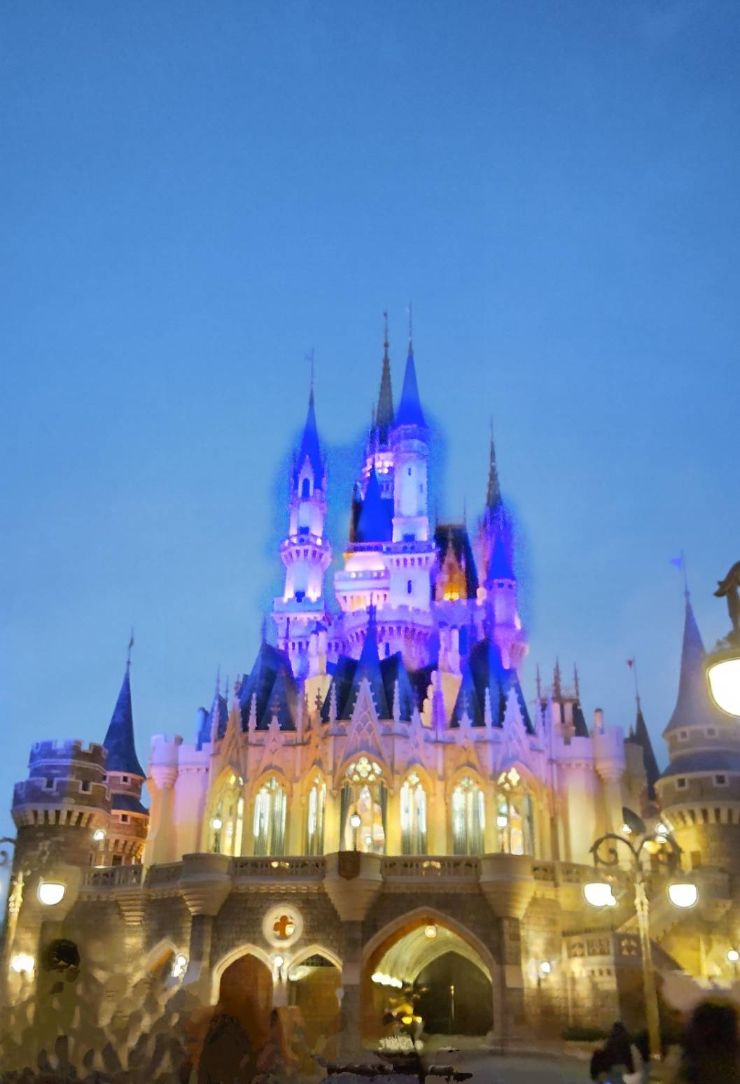 折笠 敦美の画像3