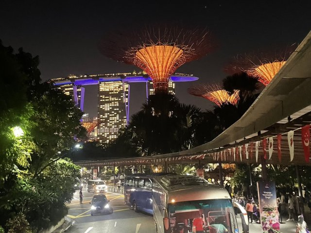 大竹 蘭珠の画像3