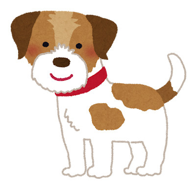 事務担当 K・Mの画像