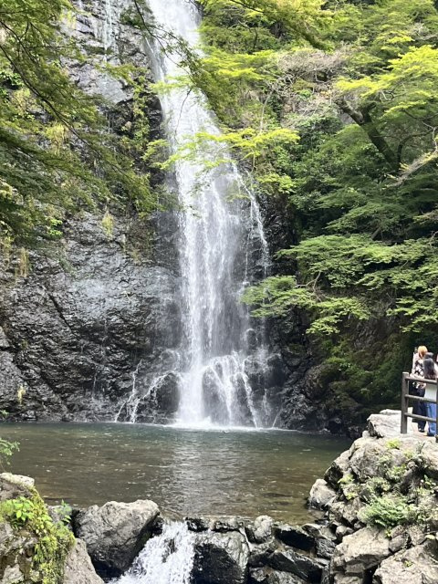 秋庭 直力の画像3