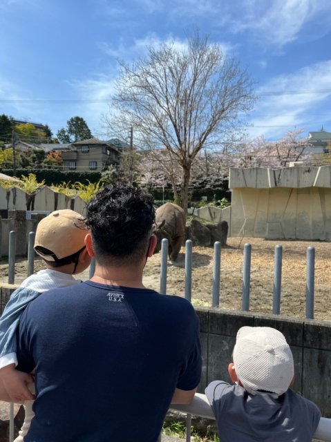 余田 圭の画像2
