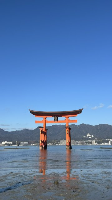 山田 　の画像3