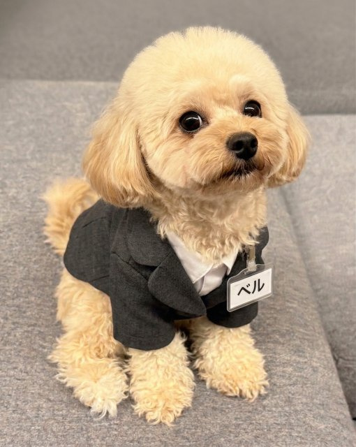 牧野 ベル子の画像1