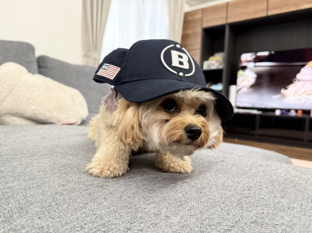 牧野 ベル子の画像2