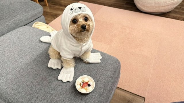 牧野 ベル子の画像3