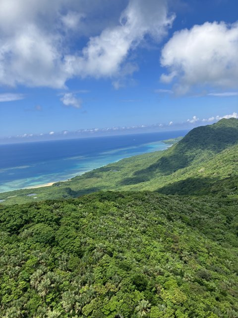 曽田 凌平の画像2