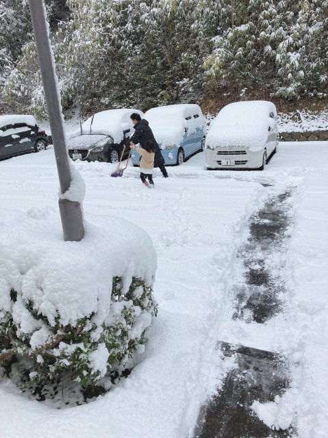 曽田 凌平の画像3