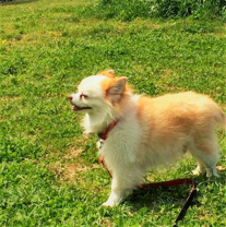 中林 克之の画像2