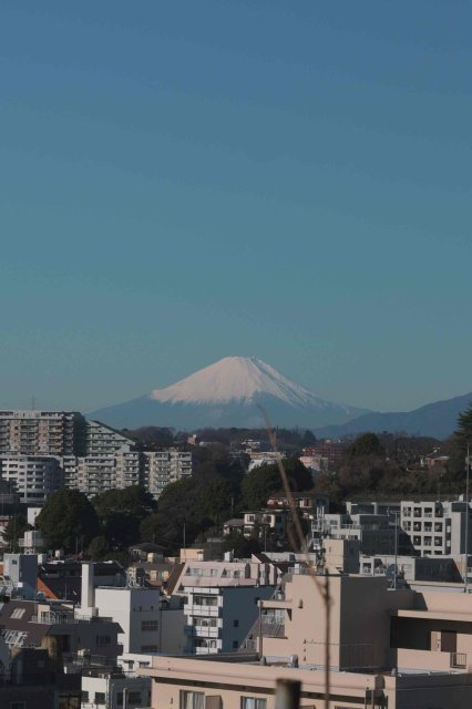 馬場大地の画像