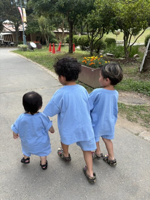 の画像2