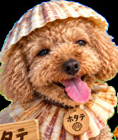 大河内 真由子の画像1