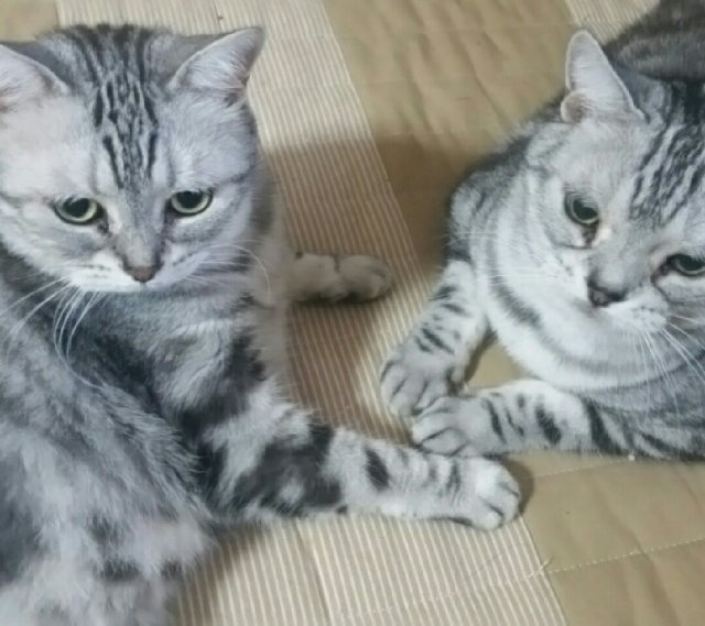 今野 恵美の画像2