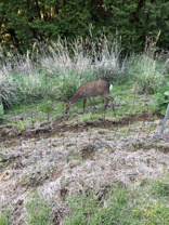 竹田 真一郎の画像3