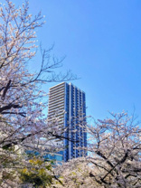 スタッフ 太田の画像2