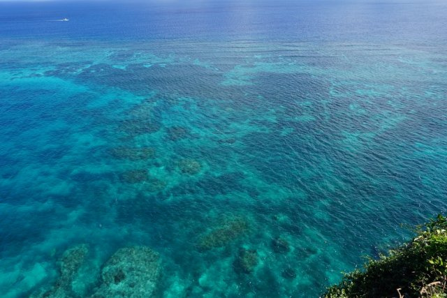 田中 義人の画像3