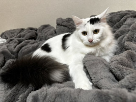 杉田 愛の画像3