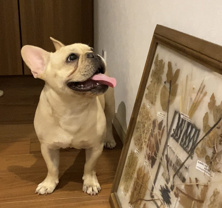 水野 志保の画像2