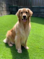 執行役員営業部長 松野　茂の画像2