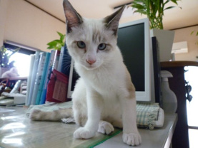 ユリ ♥の画像1