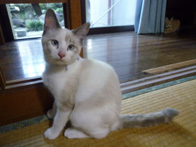 ユリ ♥の画像3