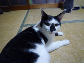 ジュニ ★の画像1