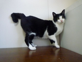 クコ ♥の画像1