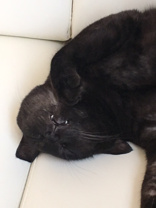 小野 旭の画像3