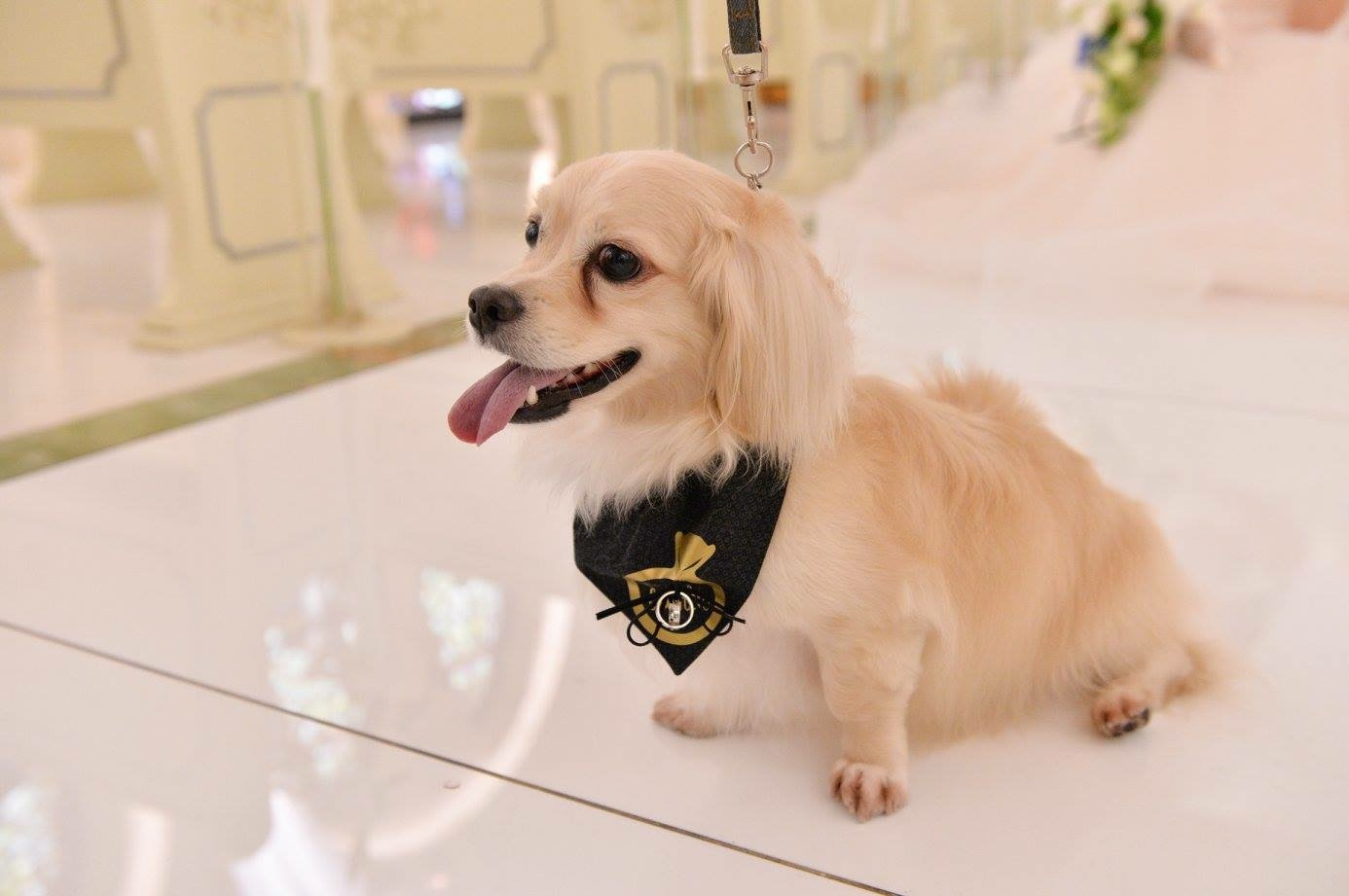 関根 恵梨の画像2