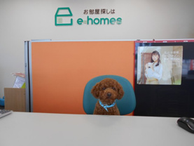 うに 君の画像1