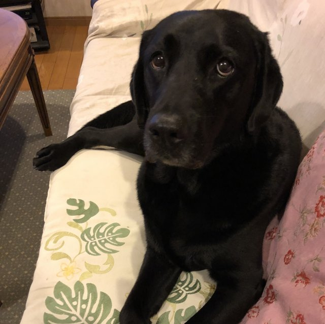 能條 恵理の画像2