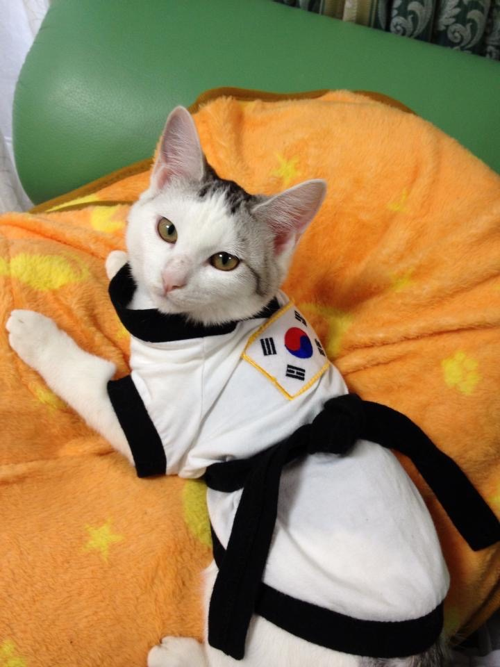 澤田 優子の画像2