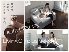 日比野 くんの画像2