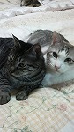 菅谷 誠一の画像2