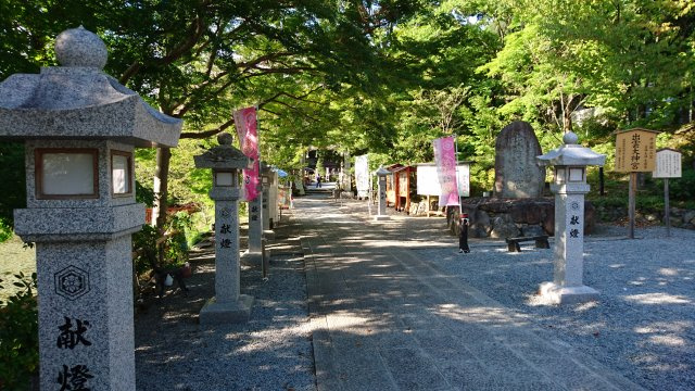 Y ・ Yの画像3