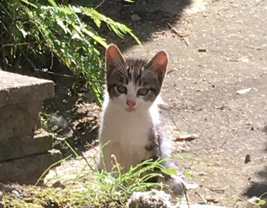 ソラ ♥の画像1