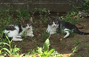 ソラ ♥の画像2