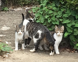 リク ★の画像2