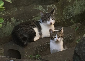 リク ★の画像3