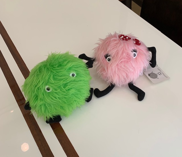 日下部 　　　の画像