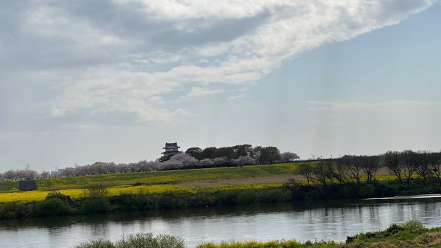 米岡 亮二の画像3