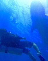 小林 敬昌の画像2