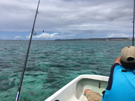 喜納 弘治の画像3