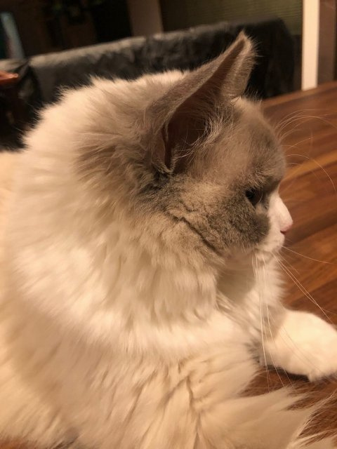 長谷川 仁美の画像2