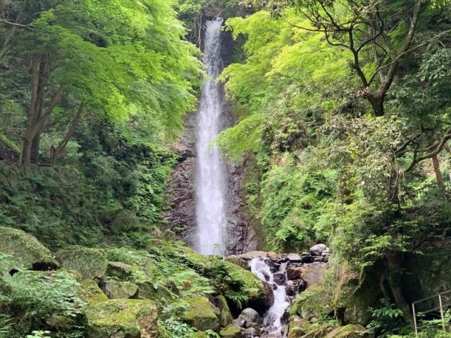 J ・ Tの画像3
